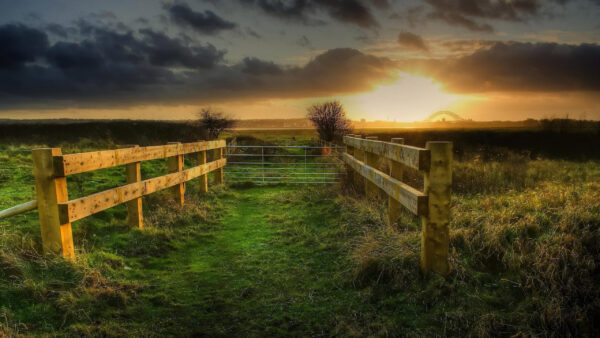 Wallpaper Grass, Fence, Trees, Sky, Black, Sunrise, Country, Wood, Cloudy