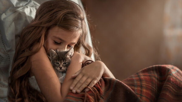 Wallpaper Kitten, Pet, Desktop, Nice, Child, Girl, Cute, With