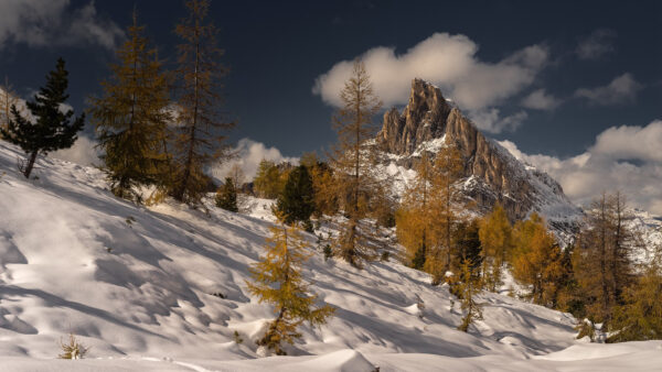 Wallpaper Covered, Mountain, Nature, Snow, Desktop, With