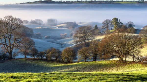 Wallpaper Field, Scenery, Nature, Trees, Grass, Mountains, Beautiful, Covered, Snow, Fog, Greenery, Mobile, Desktop, With