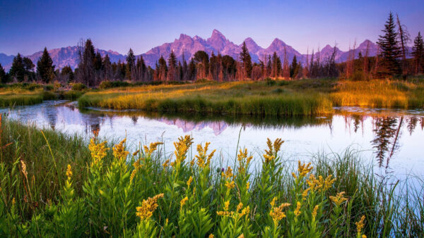 Wallpaper Bushes, Lake, Blue, Plants, Beautiful, Green, Scenery, Sky, Trees, Mountains, Under, Background, Grass