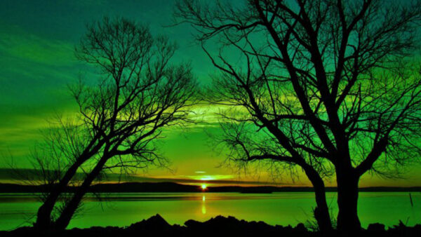 Wallpaper During, Scenery, Beautiful, Sunset, Reflection, Water, Green, Aesthetic
