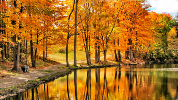 Wallpaper Blue, Scenery, Green, Orange, Under, Yellow, Sky, River, Autumn, Trees, Reflection