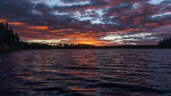 Wallpaper Trees, Forest, View, During, Under, Water, Nature, Blue, River, Sunset, Landscape, Black, Sky, Clouds