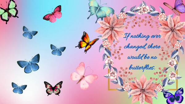 Wallpaper Ever, Would, Nothing, There, Butterflies, Changed, Inspirational