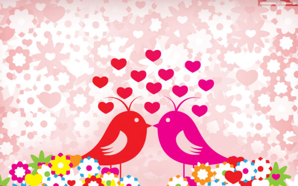 Wallpaper Birds, Love