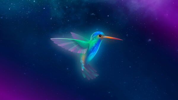 Wallpaper Hummingbird, Lubuntu