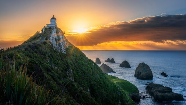 Wallpaper Lighthouse, Nature, New, Dawn, During, Desktop, Zealand, Ocean, Sunrise