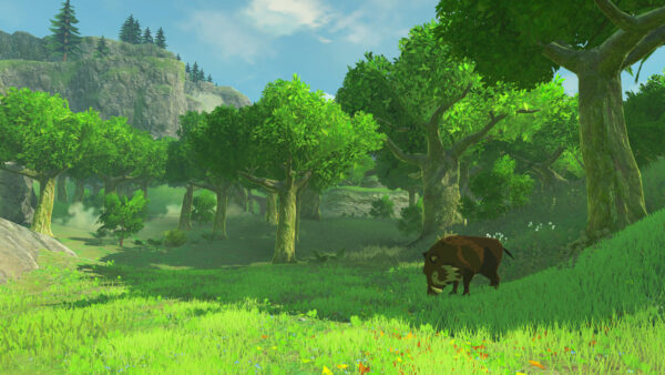 Wallpaper Wild, The, Legend, Games, Zelda, Breath, Desktop