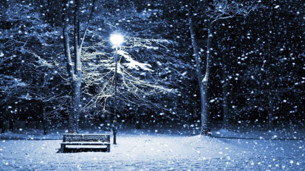 Wallpaper And, Bench, Christmas, Desktop, Nighttime, Lights, During, Covered, Snow, Trees, With