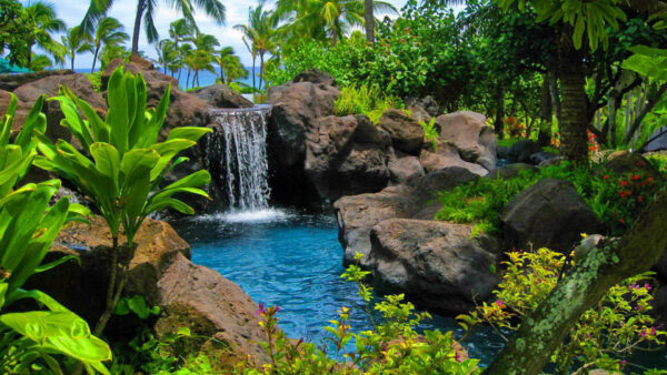 Wallpaper Lake, Between, Pouring, Rocks, Background, Surrounded, Waterfall, Ocean, Green, Trees, Bushes, Stone, Nature