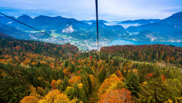 Wallpaper Trees, River, Autumn, Aerial, Desktop, Forest, Fall, Mountains, Village, Car, Cable, Mobile, View