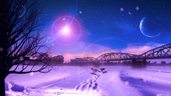 Wallpaper Snowflake, Desktop, Field, With, Bridge, Sky, Blue, Background, Wolf, Planet, Snow, And