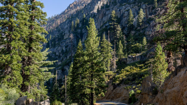 Wallpaper And, Desktop, Blue, Road, Trees, Green, Sky, Nature, Mountains, Between, Mobile, Under