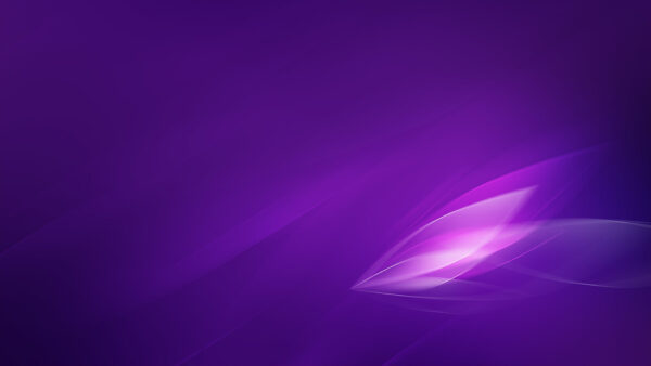 Wallpaper Petals, Purple, Shades, Aesthetic, Background, Flower