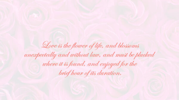 Wallpaper Life, Blossoms, Love, Quotes, The, Unexpectedly, Without, Law, Flower, And