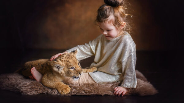 Wallpaper Fur, With, Cute, Cub, Lion, Little, Dress, Wearing, Girl, Cloth, Glittering, Sitting