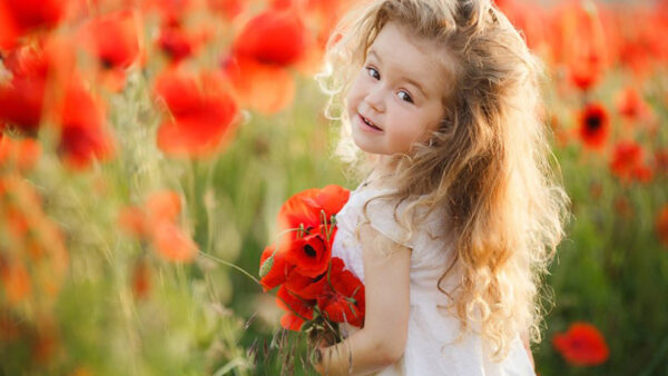 Wallpaper Common, Wearing, Field, Flowers, With, Dress, Background, Blur, Cute, Red, Standing, White, Little, Girl, Poppy