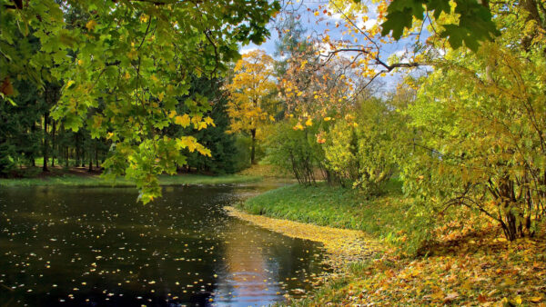 Wallpaper Water, Leaves, Green, Autumn, Lake, Trees, Fall, Reflection