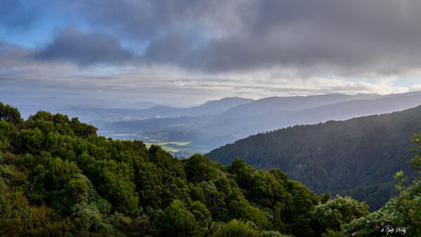 Wallpaper Trees, Mobile, Nature, Clouds, Leaves, Black, Green, Blue, Mountains, Sky, Hills, Under, Desktop, Bushes, Forest