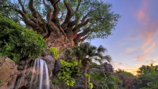 Wallpaper Nature, Rocks, Beautiful, Stones, Sky, Trees, Green, Blue, Waterfall