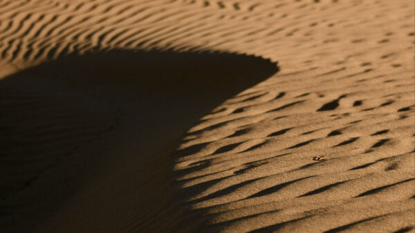 Wallpaper Dune, Shadow, Nature, Desert, Sand, Brown, Sunlight