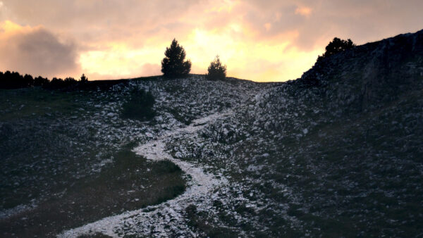 Wallpaper Nature, With, Trail, Bushes, Snow, Sunset, During, Background, Silhouette, Trees, Slope, Hill