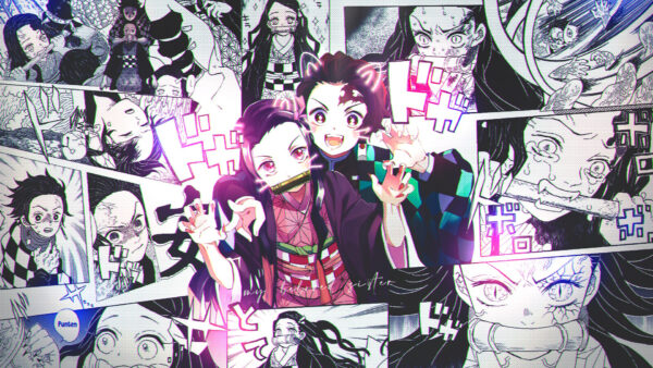 Wallpaper Different, Anime, Slayer, And, Desktop, Kamado, Demon, Angles, Nezuko, Tanjirou