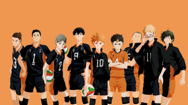 Wallpaper Team, Volleyball, Haikyu, Desktop, Anime