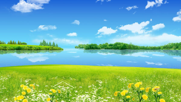 Wallpaper Grass, View, River, Nature, With, Field, Green, Trees, Forest, Landscape, Between