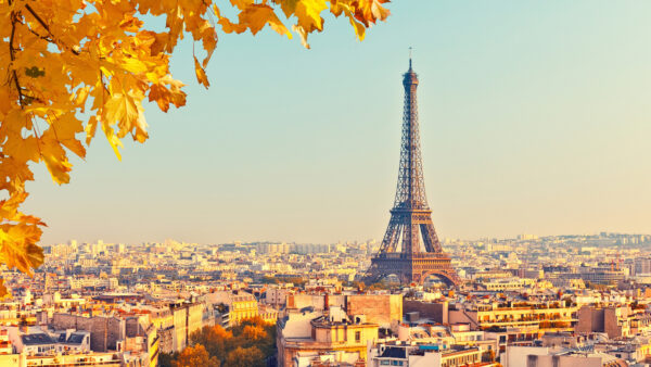 Wallpaper Tower, Travel, View, Long, Paris, Eiffel, Cityscape, And, Short, Mobile, Desktop