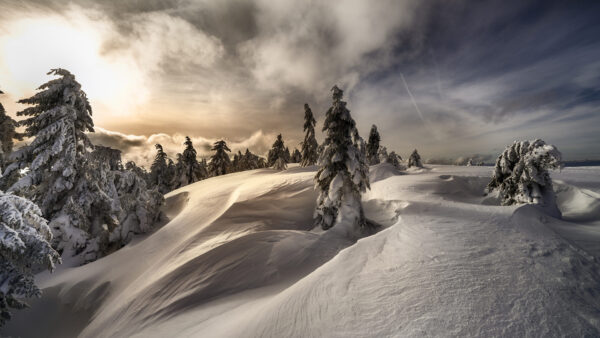 Wallpaper Mountain, With, Trees, Winter, Covered, View, Snow, Desktop