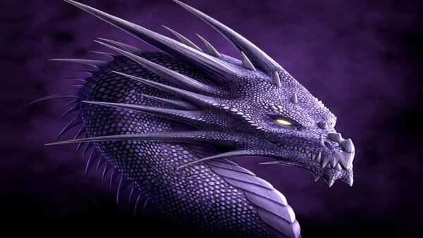 Wallpaper Dragon, Desktop, Dreamy, Purple, Color, Background, Fantasy