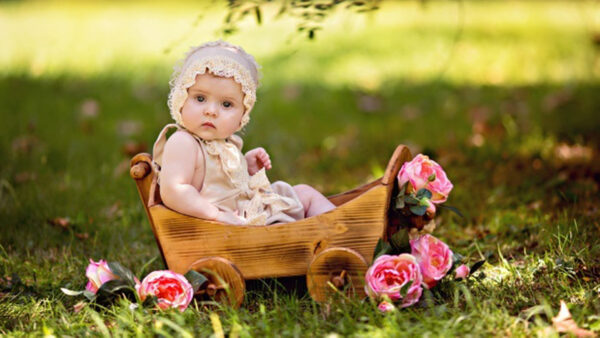 Wallpaper Cart, Baby, Rose, Girl, With, Bokeh, Sitting, Green, Flowers, Toy, Background, Blur, Little, Cute