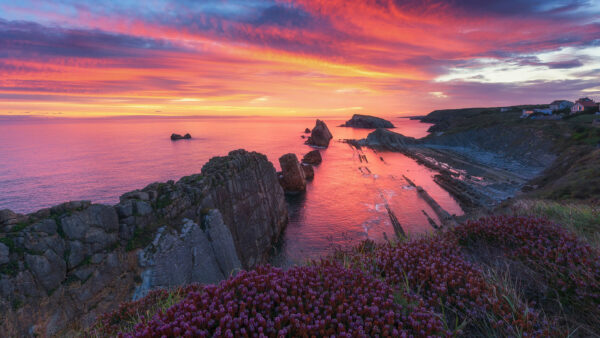 Wallpaper Sky, Under, Horizon, Ocean, Coastline, During, Desktop, Nature, Sunset