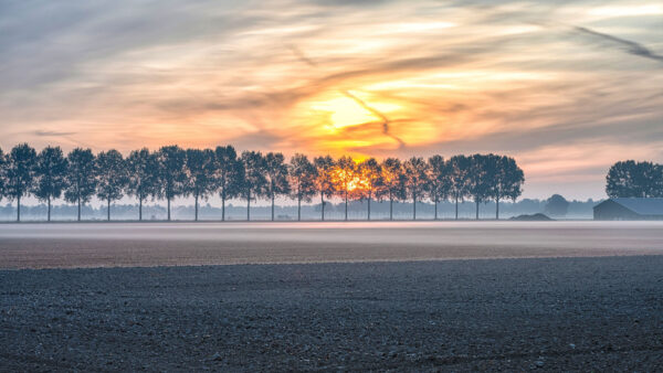 Wallpaper During, Nature, Under, Ground, Black, Sand, Yellow, Sky, Brown, Trees, Mobile, Clouds, Desktop, Sunset