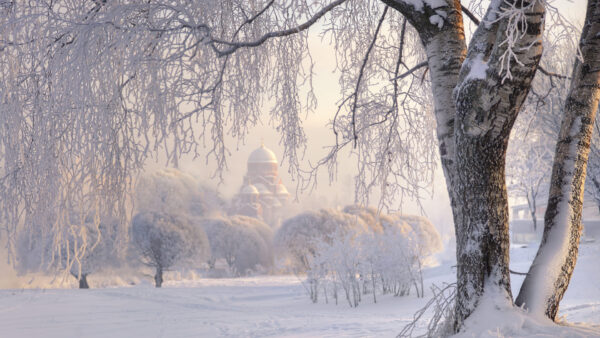 Wallpaper Church, Covered, Surrounded, Nature, Desktop, Trees, Snow