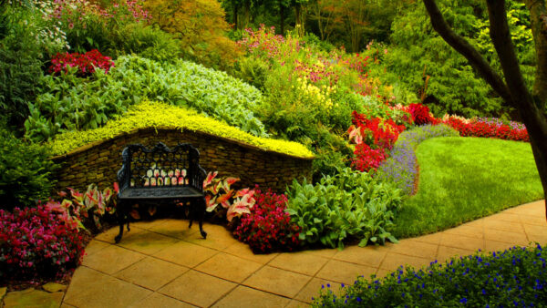 Wallpaper And, Desktop, Plants, With, Garden, Chair