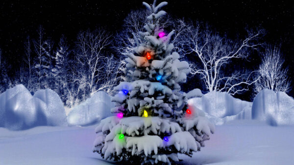 Wallpaper Lights, Covered, Beautiful, With, Christmas, Tree, Snow, Desktop