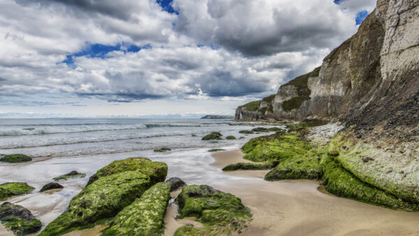 Wallpaper Waves, Rocks, Mountain, Desktop, Algae, Mobile, Covered, Sand, Beach, Greenery, Ocean, Nature