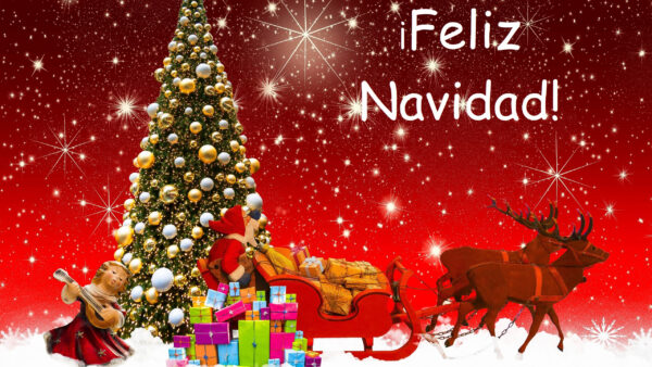 Wallpaper Reindeer, Merry, Sled, Christmas, Gift, Tree, Santa