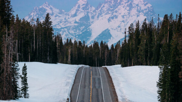 Wallpaper Between, Trees, View, Field, Landscape, Nature, Mountain, Snow, With, Surrounded, Road