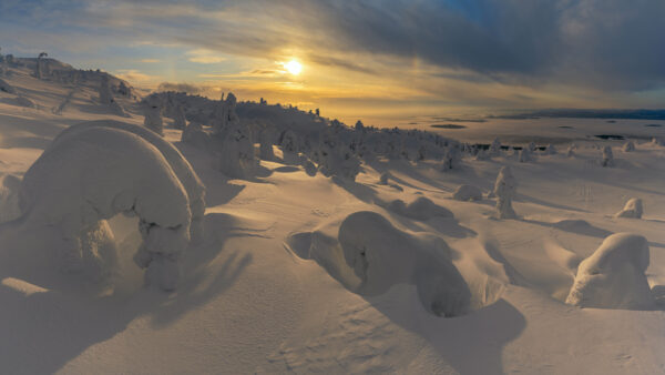 Wallpaper Covered, Snow, Sunrise, Desktop, Winter, Field, During