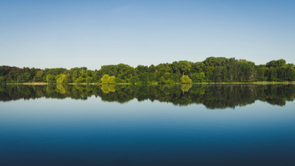 Wallpaper Mobile, Under, River, Sky, Desktop, Nature, Trees, Blue, Green, Forest, Reflection
