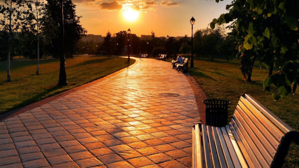 Wallpaper Park, Grass, Nature, Green, Field, Wood, Sunset, Trees, During, Path, Benches