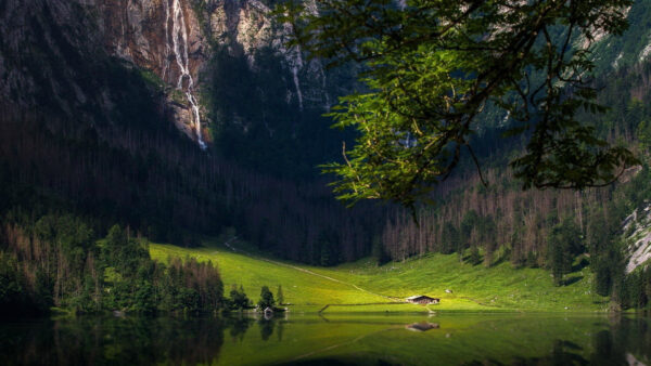 Wallpaper Nature, Rocks, Green, Field, From, Forest, And, View, Waterfalls, Trees, Landscape, Grass