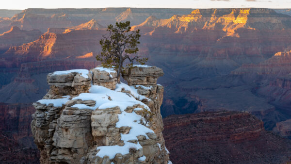 Wallpaper Covered, Snow, Nature, Mountains, Rock, Trees