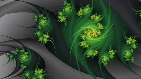 Wallpaper Green, Gray, Fractal, Flowers, Plant, Trippy, Embrace, Abstraction, Desktop