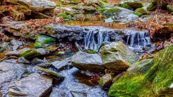 Wallpaper Covered, Stream, Reflection, Water, Nature, Stones, Algae, Rocks