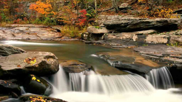 Wallpaper Background, Fall, Surrounded, Forest, Stream, Waterfall, Autumn, Desktop, Trees, River